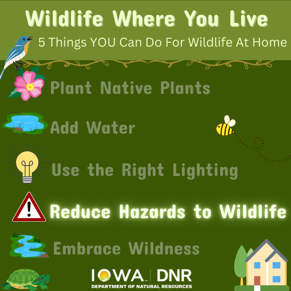 Infographic Listing 5 Main Concepts for living peacefully with Wildlife