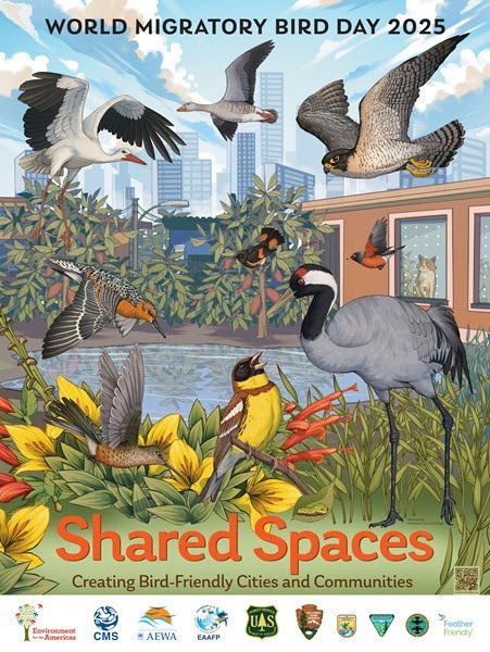 shared spaces
