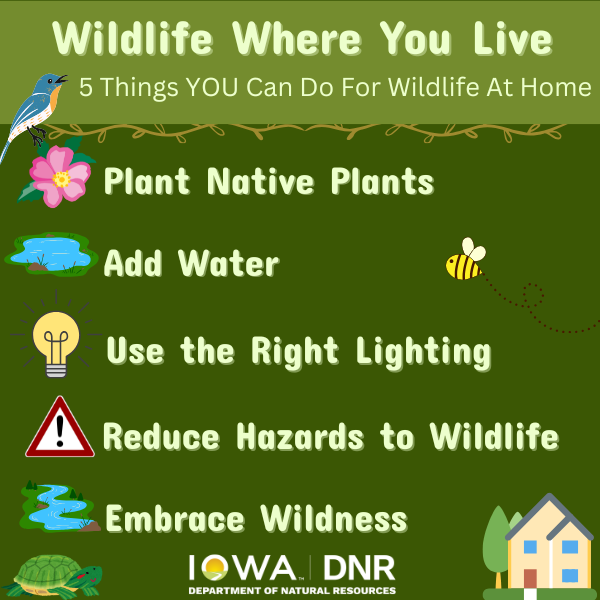 wildlife where you live