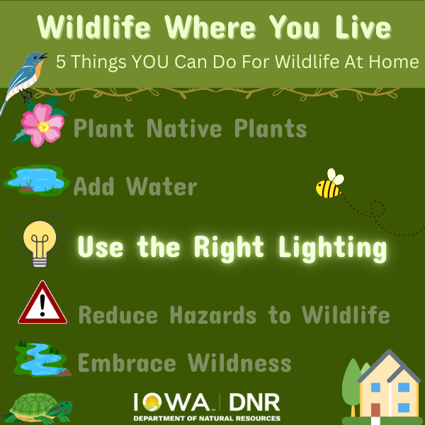 Infographic with Wildlife Where You Live