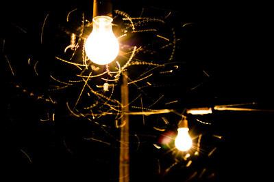 Insects around two outdoor light bulbs