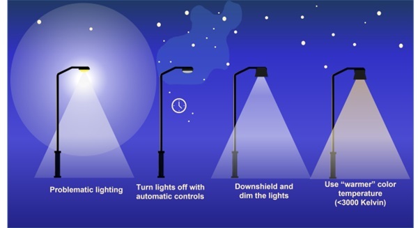 Infographic showing problematic lighting, lights with automatic controls, downshield and dim lighting, and warmer color lighting.