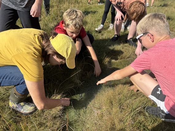 At Silver Lake Fen, students learned about the endangered plants that grow there and could respectfully explore the unique landscape. 