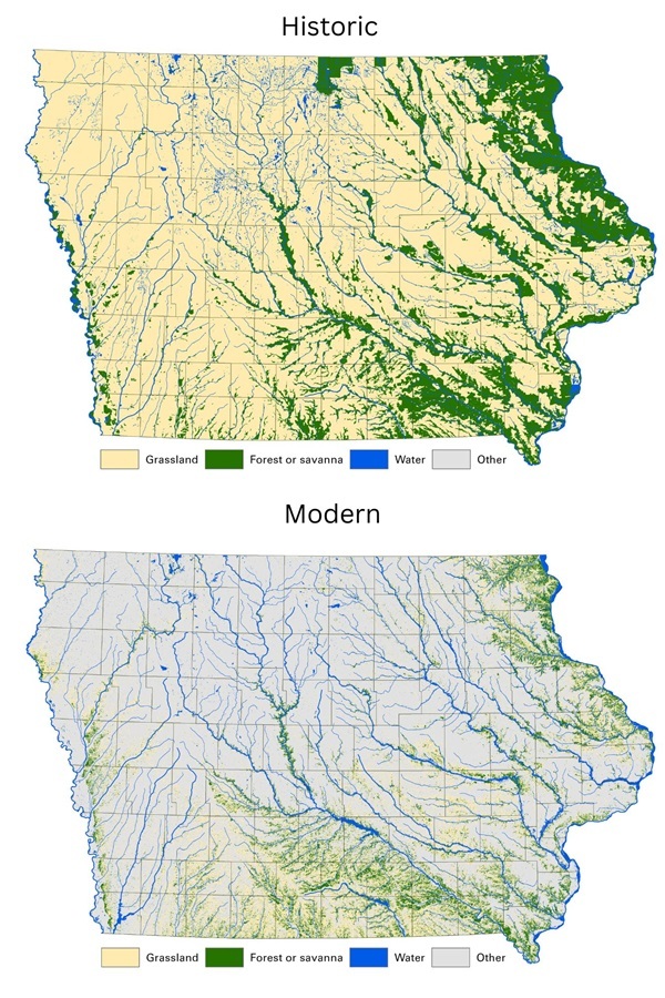 Map showing land cover in historic versus modern Iowa