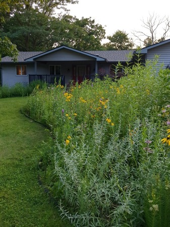 Picture of a native landscape