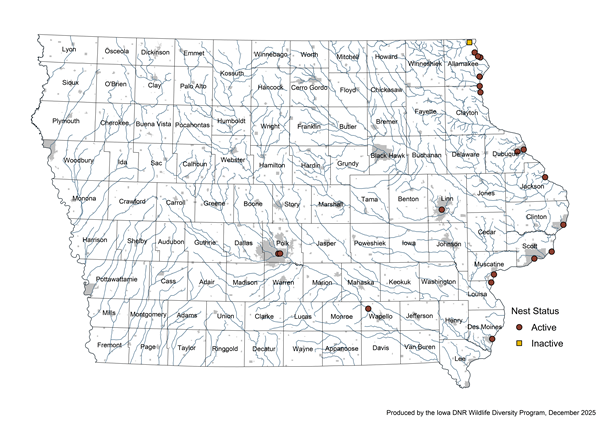 Map of Iowa Peregrine Falcon nest locations in 2025.