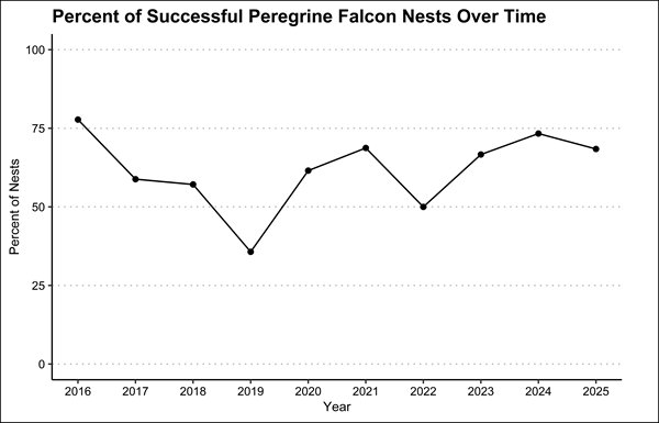 Plot of the percent of successful peregrine falcon nests over time in 2025.
