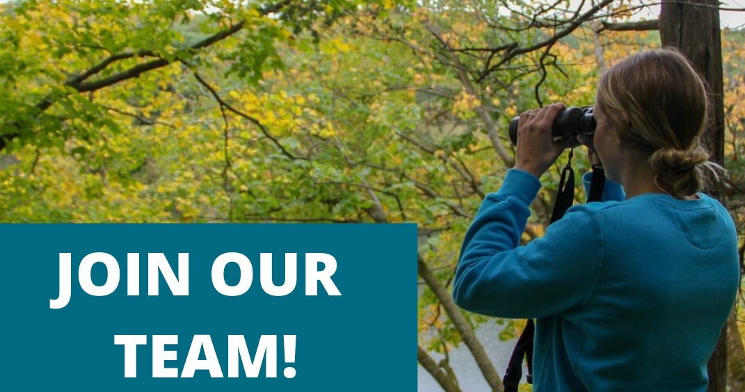 Join Our Team over photo of woman with binoculars
