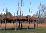 Arbor at Kuehn Conservation Area