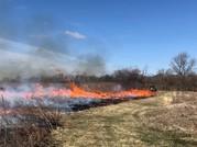 Prairie burn at Forest Park
