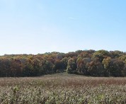 Burial mounds at Kuehn