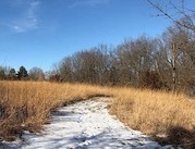 Wintery path at Kuehn