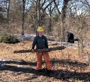 Volunteer carrying branch