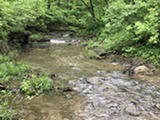Creek Walk
