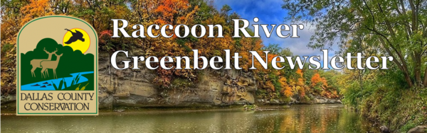 DCCB Fall Newsletter Header