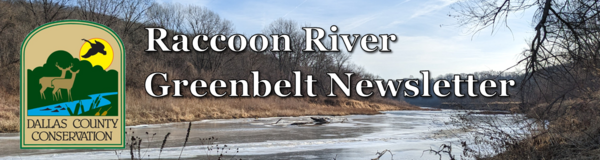 Winter Newsletter Header