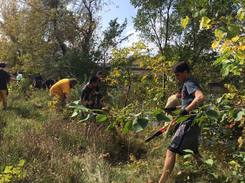 An image of people cleaning up outside 