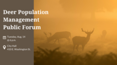 Infographic for upcoming deer population public forum