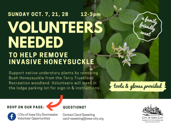 Terry Trueblood Cleanup event 