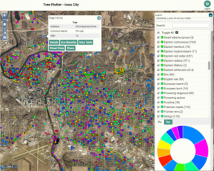 Screenshot from Tree Inventory site