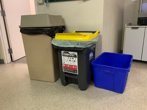 photo of compost bin at City Hall