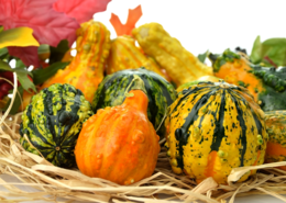 Photo of gourds