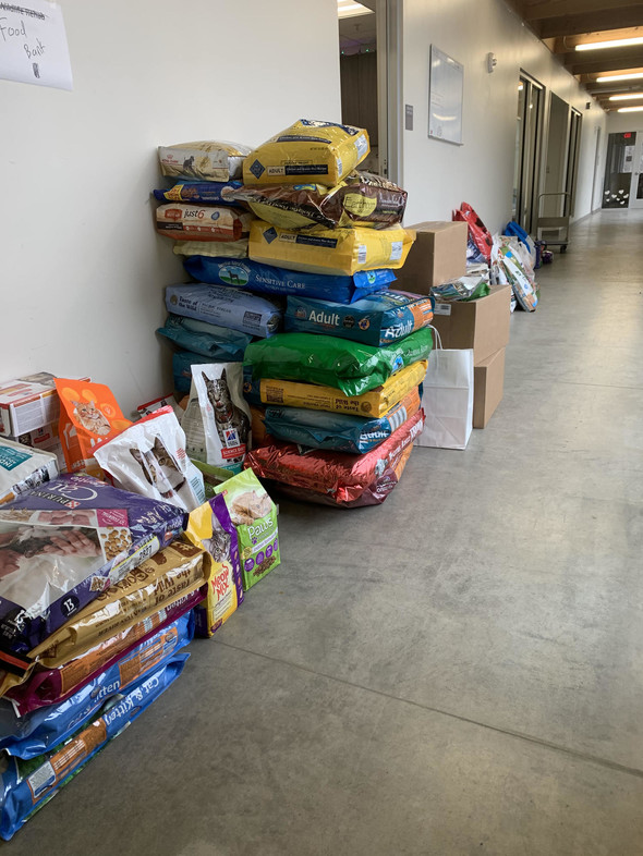 Animal Center accepting food donations for pets of those experiencing