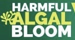 Graphic reading "Harmful algal bloom"
