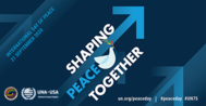 The Shaping Peace Together logo is shown. 