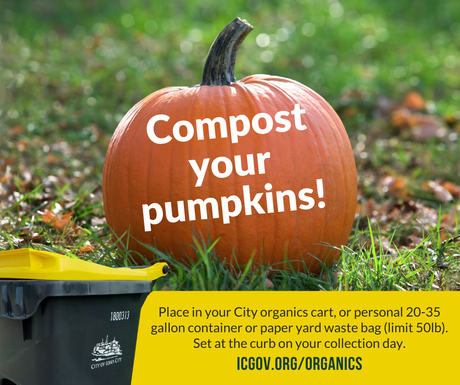 Don’t Trash Your Pumpkins, Compost Them! (Coralville Courier)