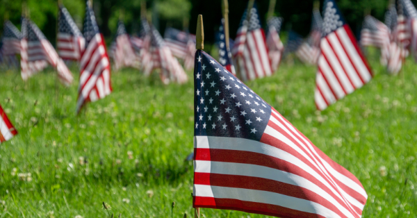 American flags in cemetery 