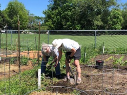 Two people are shown gardening. 