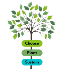 root for trees graphic