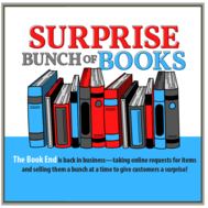 Surprise Book Bundles