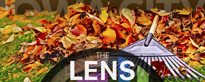 Lens November 2021 banner