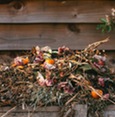 a photograph of compost