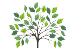 root for trees graphic