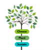 root for trees graphic