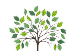 root for trees graphic