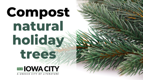 Compost natural holiday trees