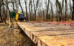 a photo of the new mountain bike trail bridge