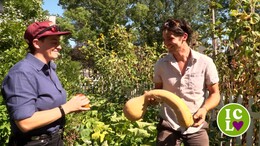 Vegetable gardeners are shown demonstrating Lawn Love
