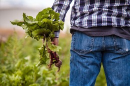 a farmer is pictured