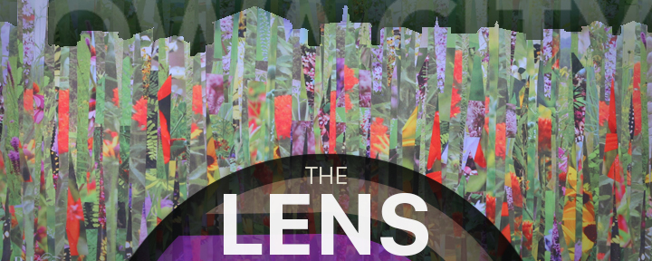 The Lens November 2024