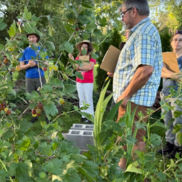 morningside-glendale yard tours