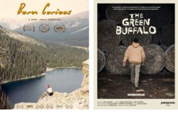 Climate Fest films