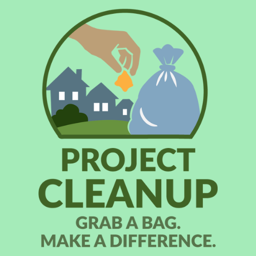 project cleanup