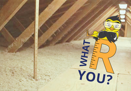 What R You attic insulation graphic