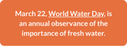 World Water Day link