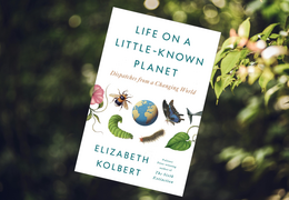 Life on a Little Known Planet book cover graphic